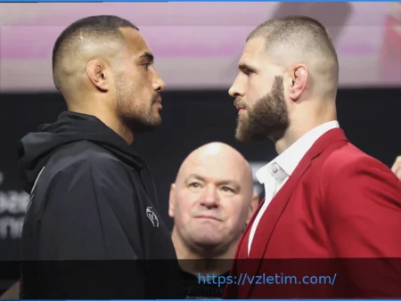 UFC 327: Анализ коэффициентов, прогнозов и ставок на бой Прохазка против Ульберга