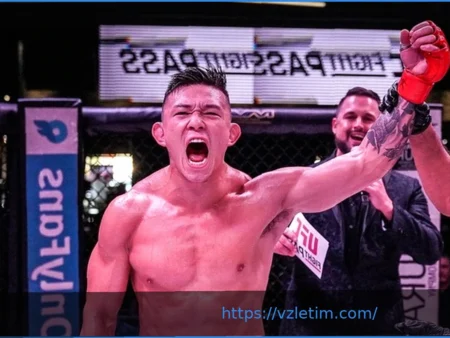 Проспект UFC Коди Стил: Рекорд, опыт в BJJ и следующий бой