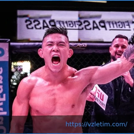 Проспект UFC Коди Стил: Рекорд, опыт в BJJ и следующий бой
