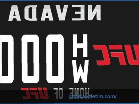 В Техасе стали доступны эксклюзивные номерные знаки «UFC живет здесь»
