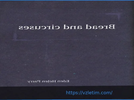 Хлеб, зрелища и места у ринга: почему мы остаемся пассивными наблюдателями