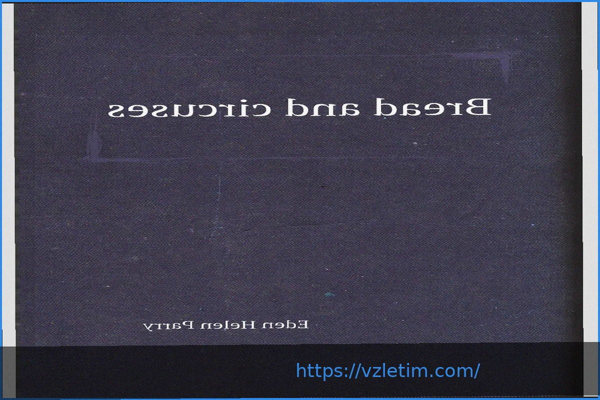 Preview Хлеб, зрелища и места у ринга: почему мы остаемся пассивными наблюдателями