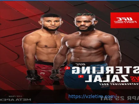 Лучшие ставки, экспрессы и прогнозы на UFC Vegas 116: Sterling против Zalal