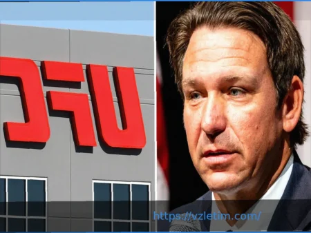 В Флориде появится специальный номерной знак UFC