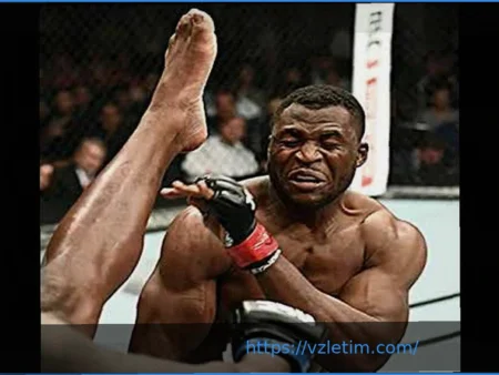 Самый желанный бой Фрэнсиса Нганну перед завершением карьеры