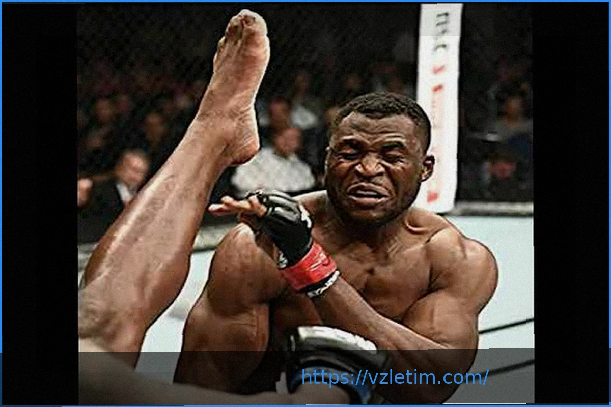 Preview Самый желанный бой Фрэнсиса Нганну перед завершением карьеры