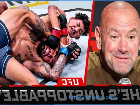 Два правила ММА могут измениться этим летом