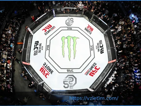 UFC® 330: Октагон возвращается в Филадельфию 15 августа