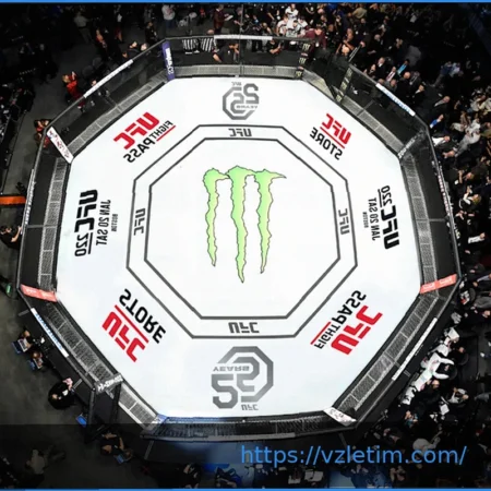 UFC® 330: Октагон возвращается в Филадельфию 15 августа
