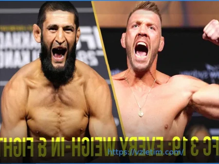 Результаты официального взвешивания UFC 327: Прохазка против Ульберга