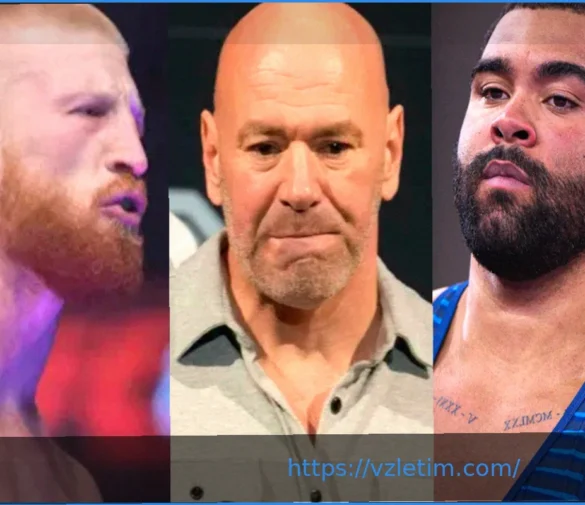 Дана Уайт спокоен относительно перехода Гейбла Стивенсона в UFC: «Здесь дрался Си Эм Панк»