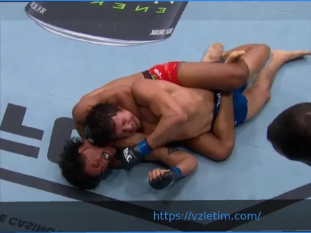 Боец UFC применил удушающий прием к фанату в прямом эфире