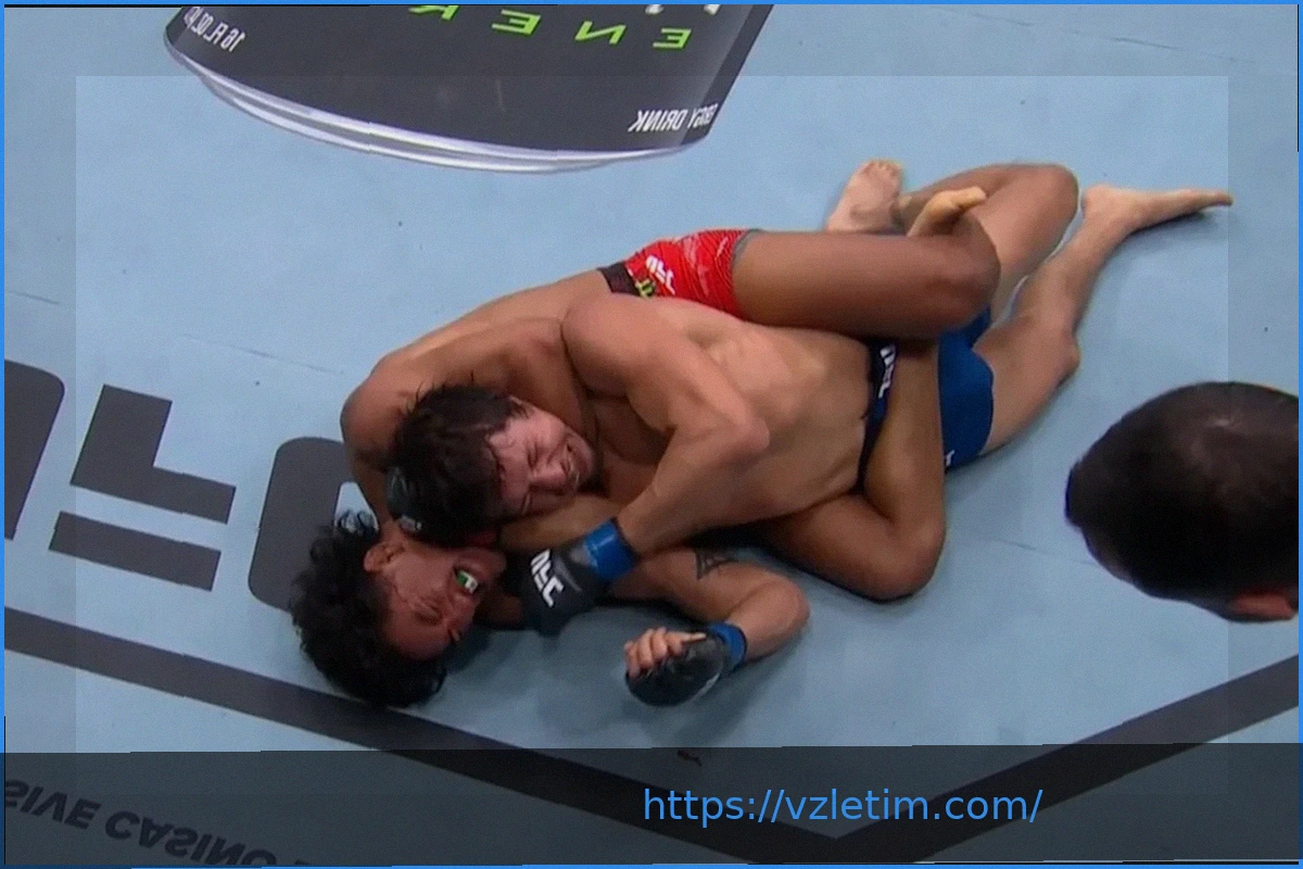 Preview Боец UFC применил удушающий прием к фанату в прямом эфире