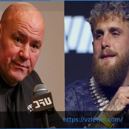 Джейк Пол: Дана Уайт «недостаточно умен», чтобы спасти «умирающий» UFC