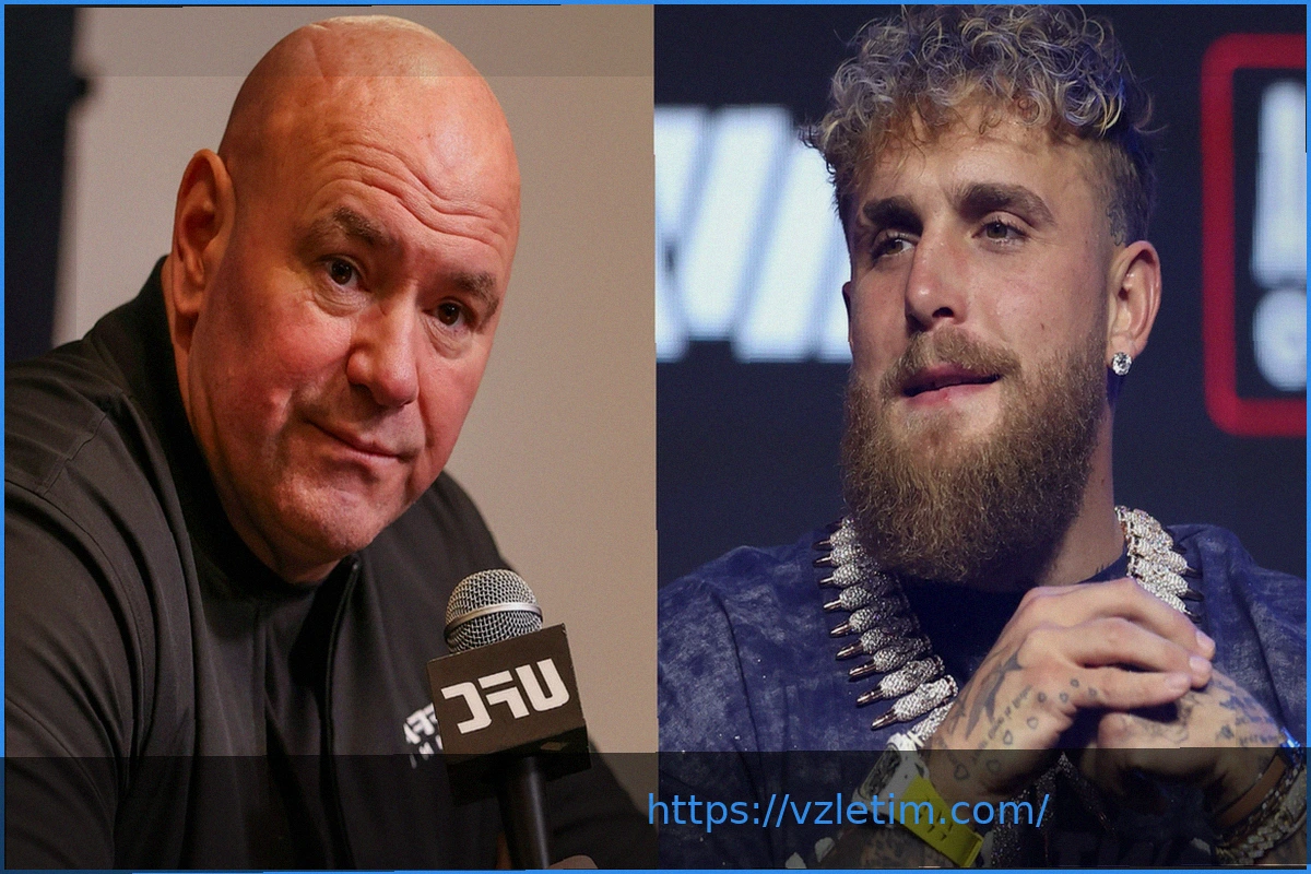 Preview Джейк Пол: Дана Уайт «недостаточно умен», чтобы спасти «умирающий» UFC