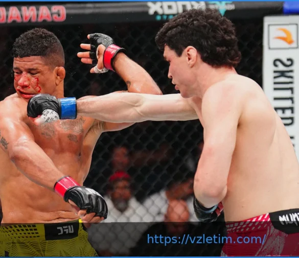 Предстоящие поединки после UFC Виннипег