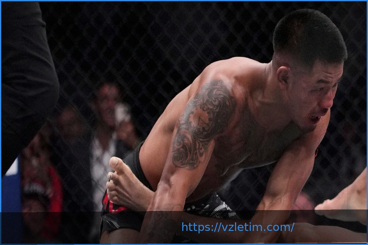 Preview UFC 327: Объявлен Обновленный Кард, Бой Ван – Таира Перенесен на UFC 328