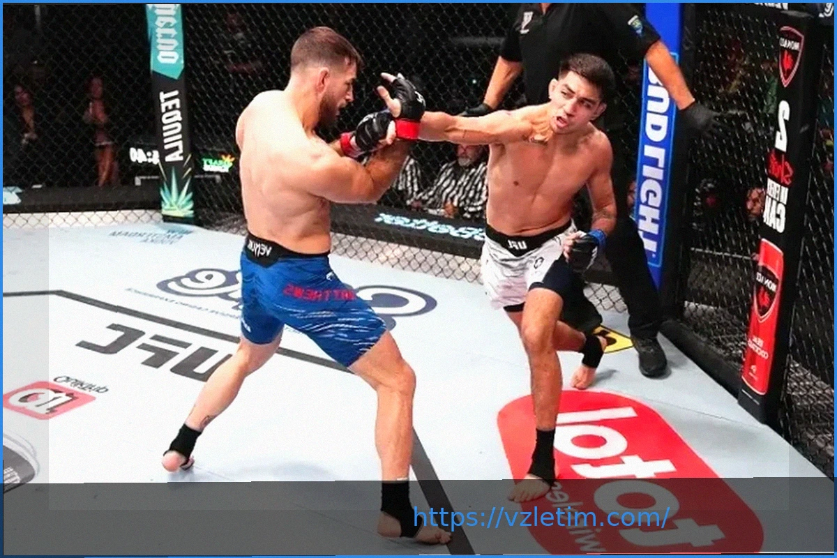 Preview Андре Фили – Хосе Дельгадо: прогноз от Глеба Кожикова