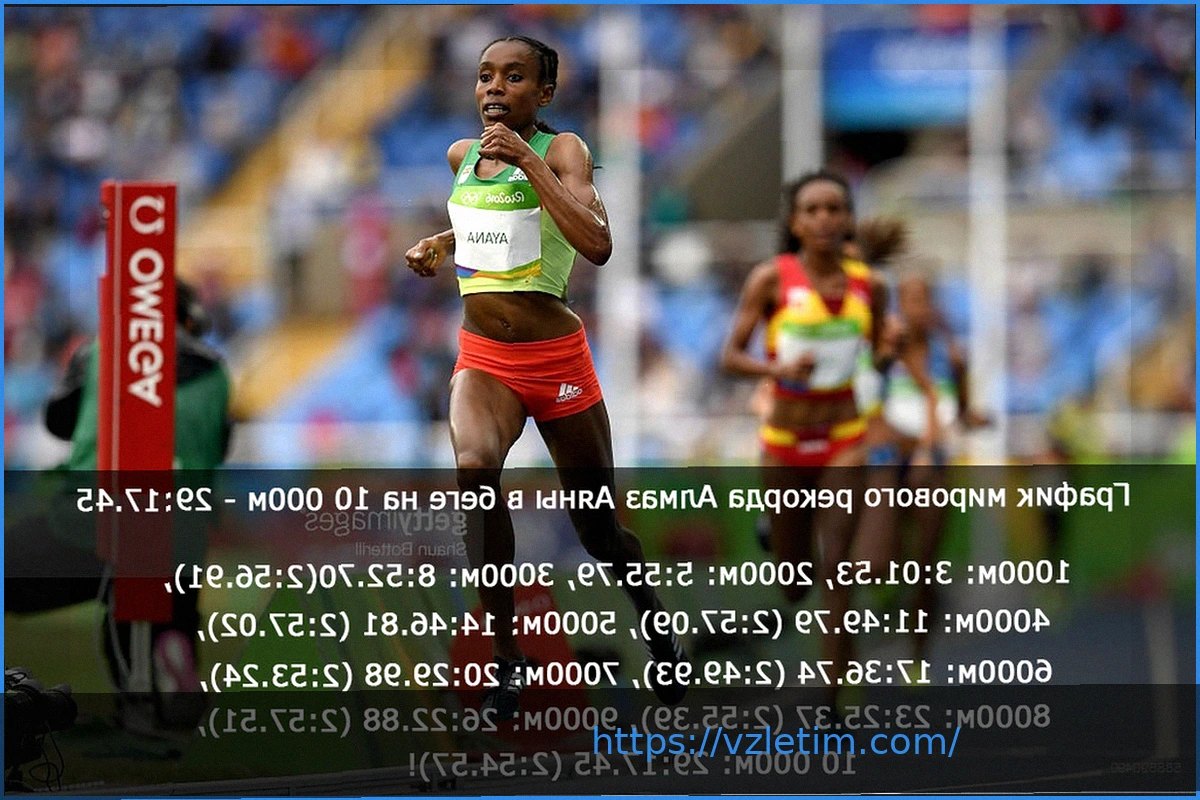 Preview Most Valuable Promotions: Будущее в ММА Зависит от Успеха Дебюта на Netflix