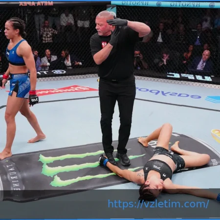 Четыре бойца госпитализированы после чрезвычайно жестокого турнира UFC Vegas 115 в Лас-Вегасе