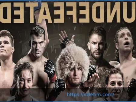 Непобедимый Финишер UFC: Следующий Бой Объявлен Всего Через Несколько Дней После Триумфа