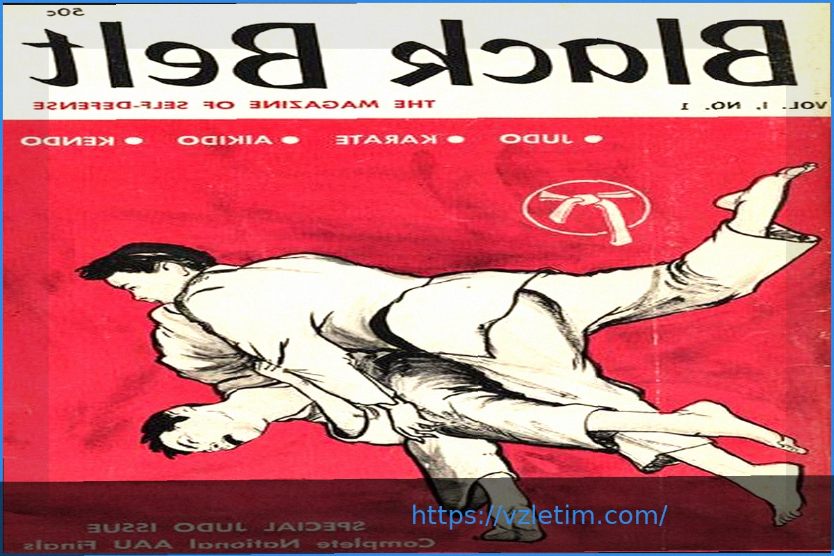 Preview PFL: Черный пояс в мире боевых искусств